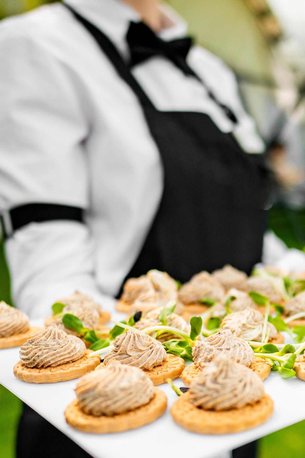 shutterstock_2483032727